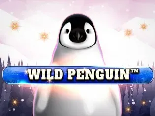 Wild Penguin game cover